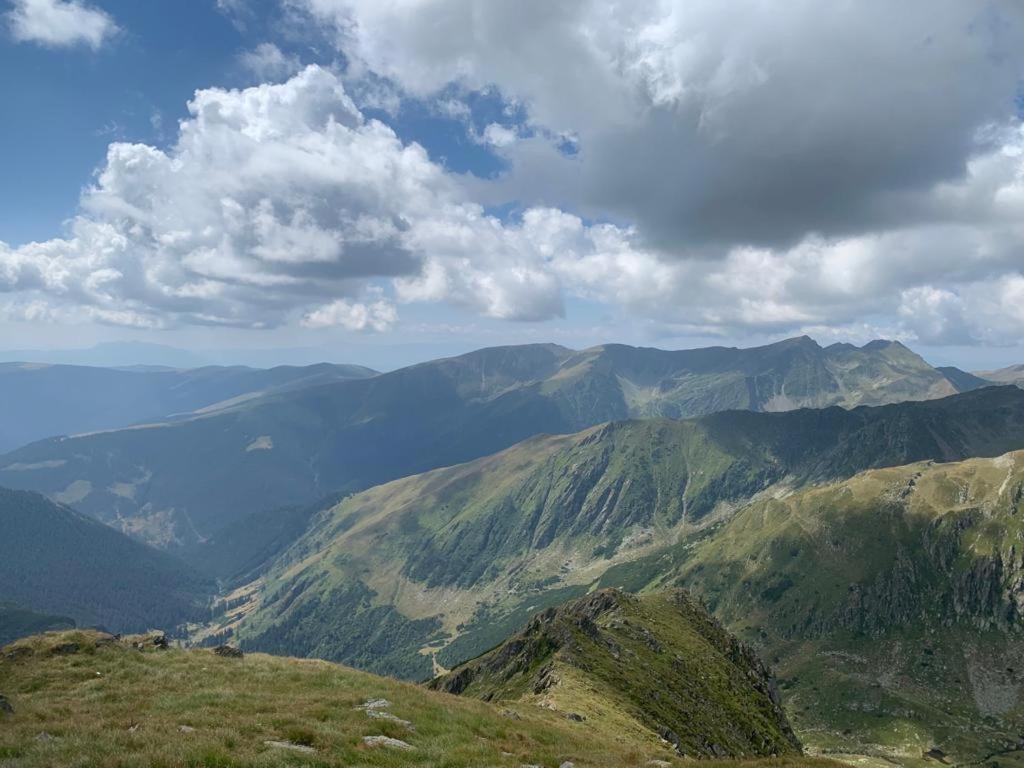 בית אירוח Casa Oaspeti Transfagarasan