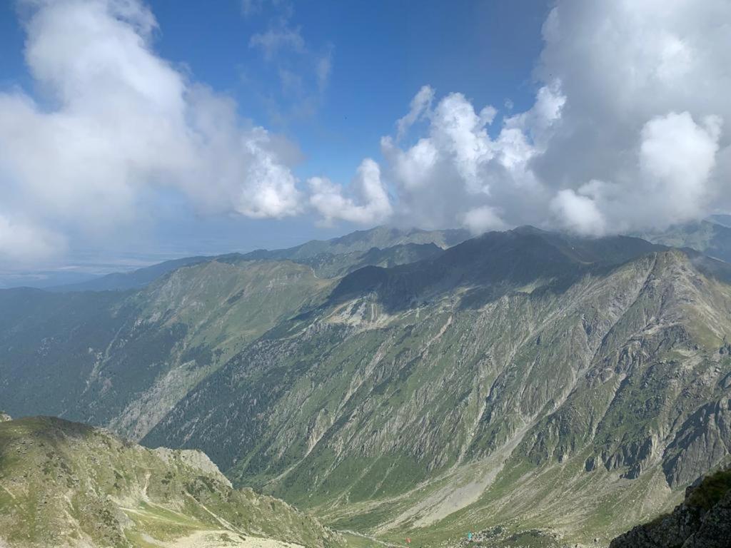 בית אירוח Casa Oaspeti Transfagarasan