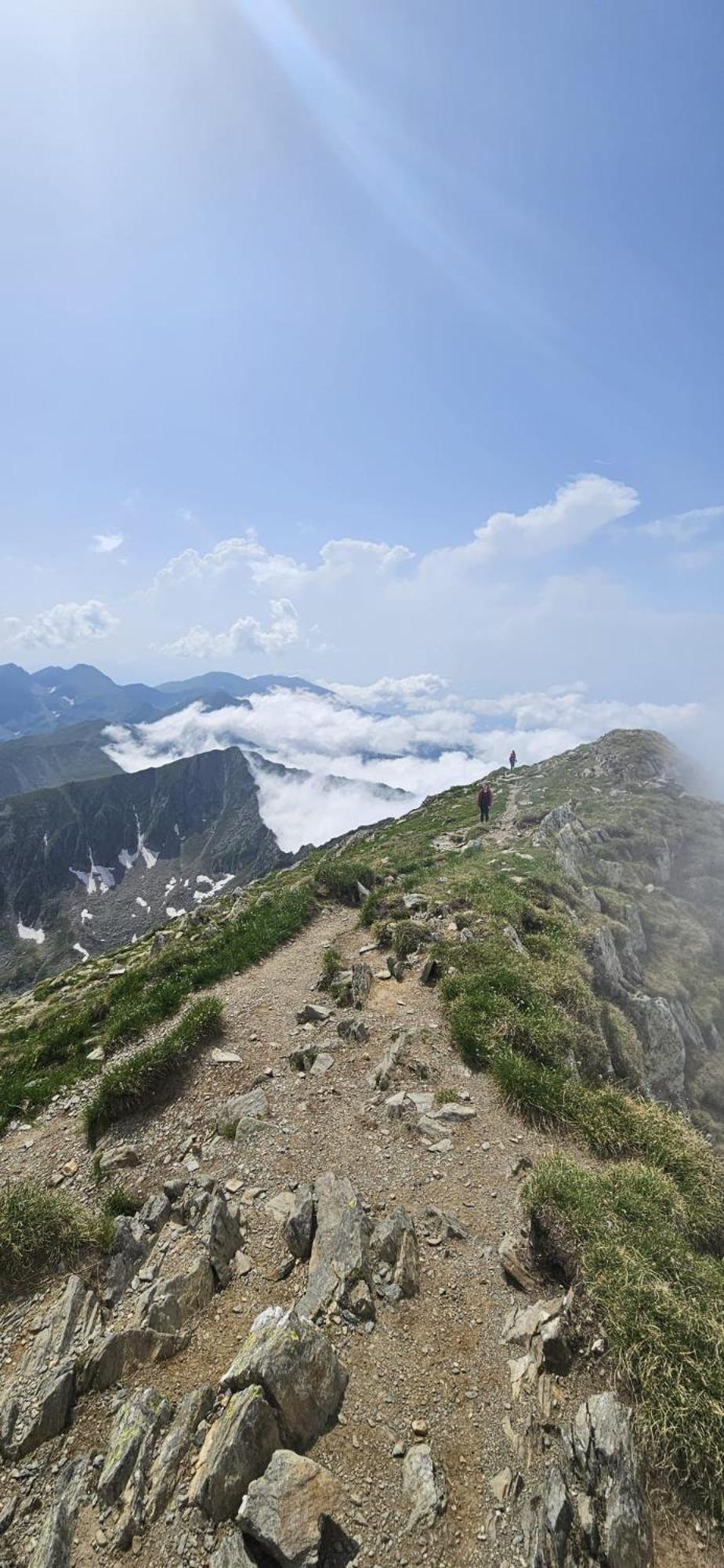 בית אירוח Casa Oaspeti Transfagarasan Cîrţişoara
