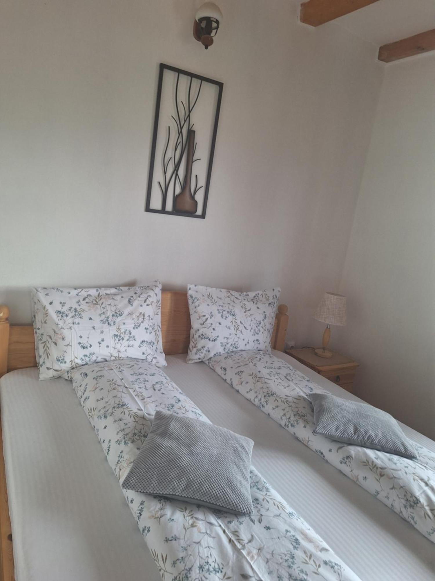 בית אירוח Casa Oaspeti Transfagarasan *