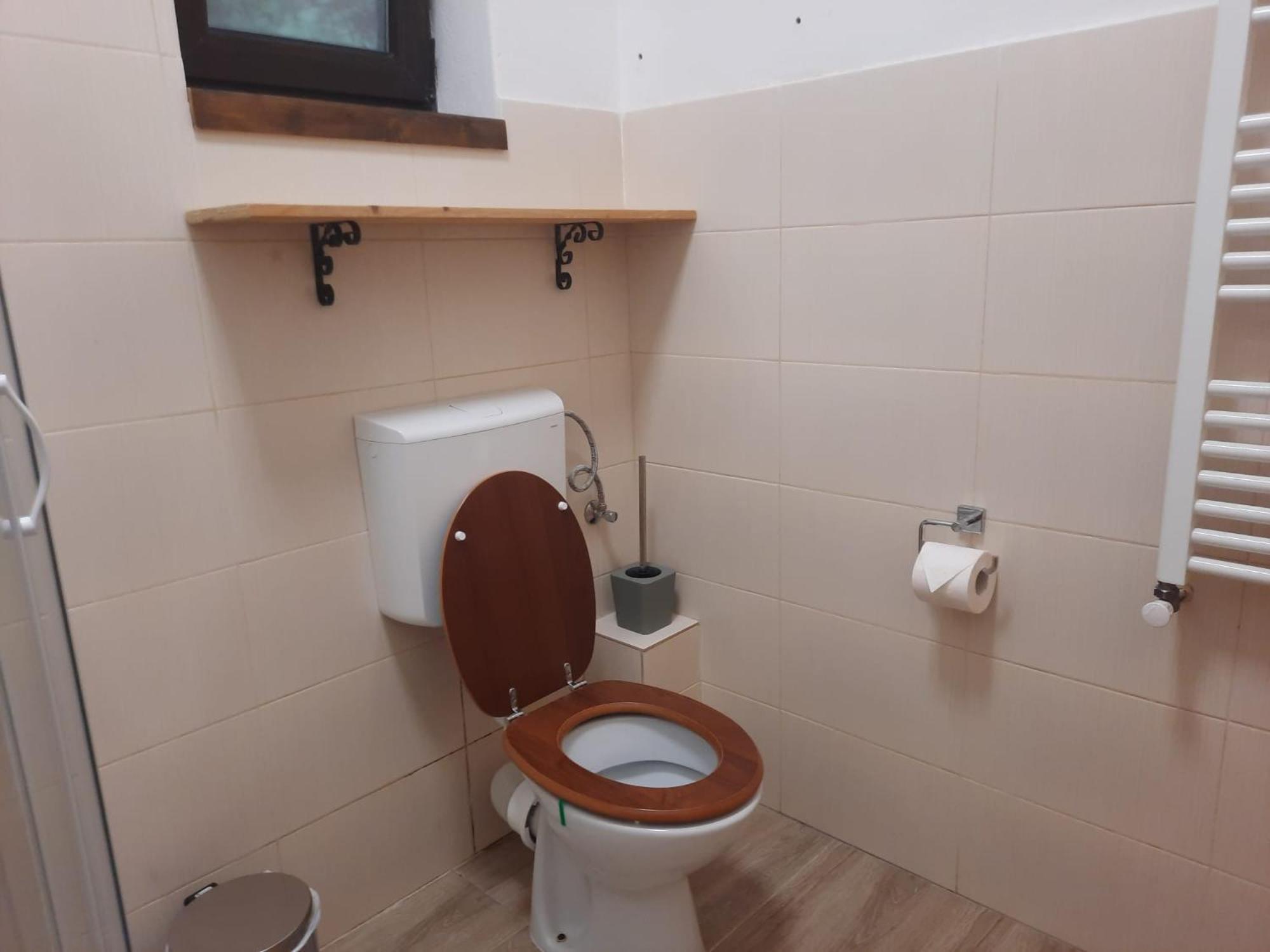 Casa Oaspeti Transfagarasan בית אירוח Cîrţişoara